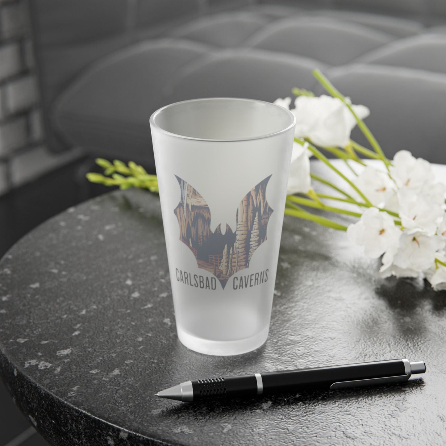 Carlsbad Caverns National Park Bat Frosted Mug teelaunch