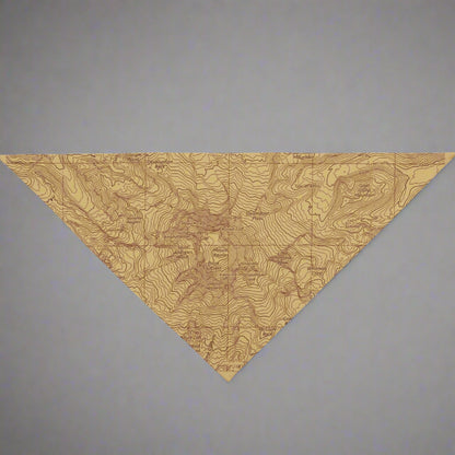 Mount Rainier Topographic Pet Bandana USGS National Park Topo Map