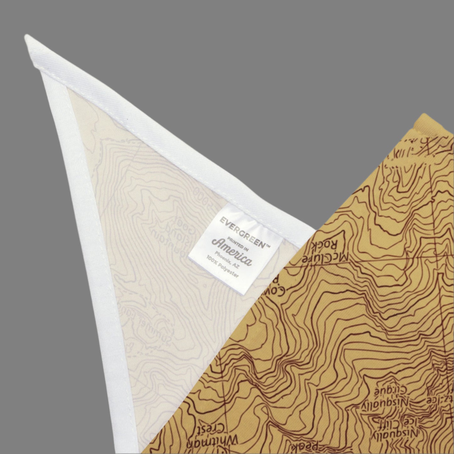 Mount Rainier Topographic Pet Bandana USGS National Park Topo Map