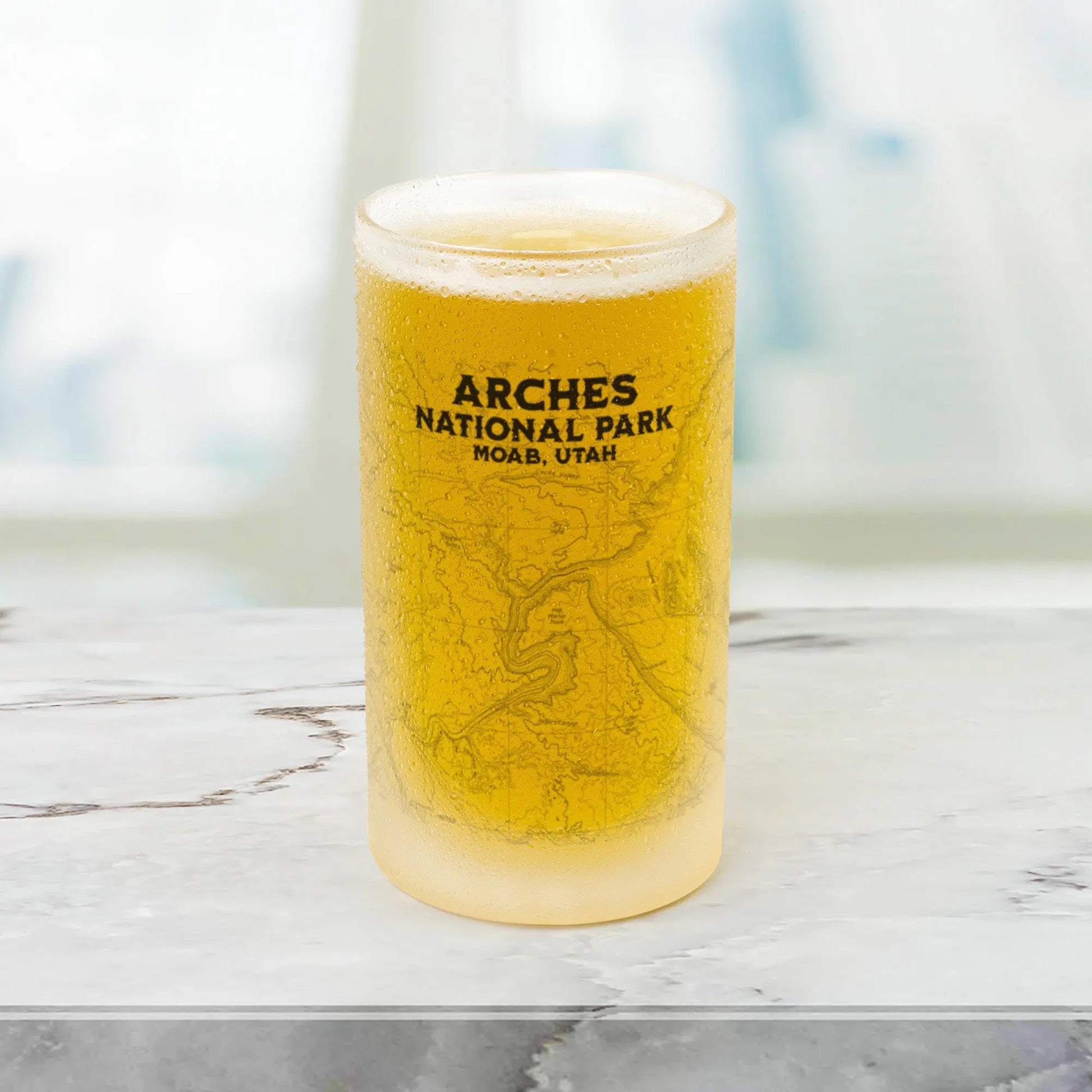 Arches National Park Topographic Frosted Pint Mug Moab Utah - Park Service Apparel