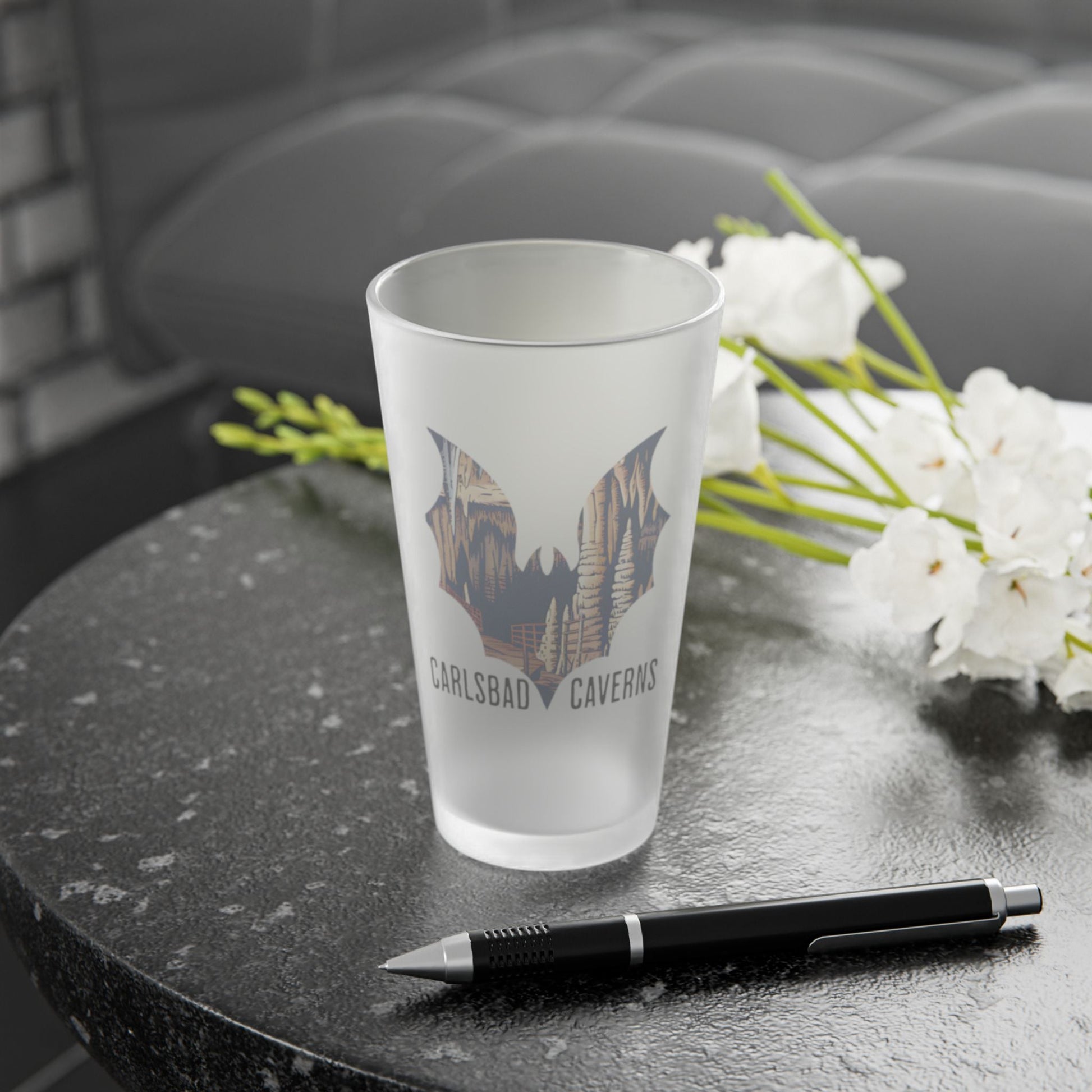 Carlsbad Caverns National Park Bat Frosted Mug teelaunch