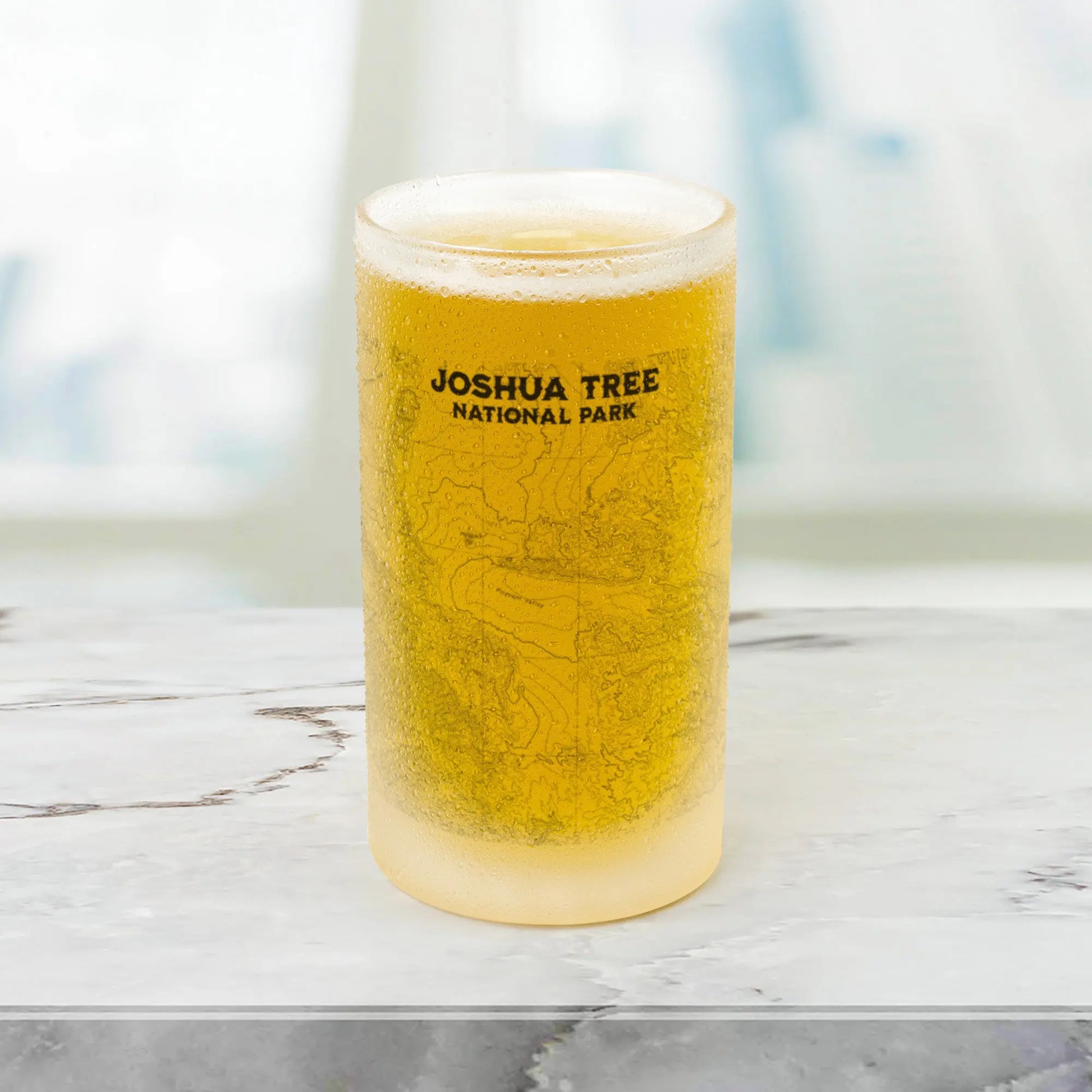 Joshua Tree National Park Topographic Pint Mug - Park Service Apparel