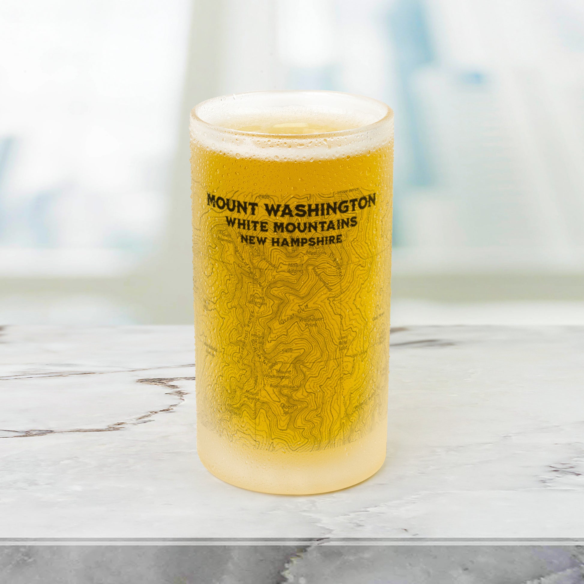 Mount Washington White Mountains Topographic Frosted Pint Mug teelaunch