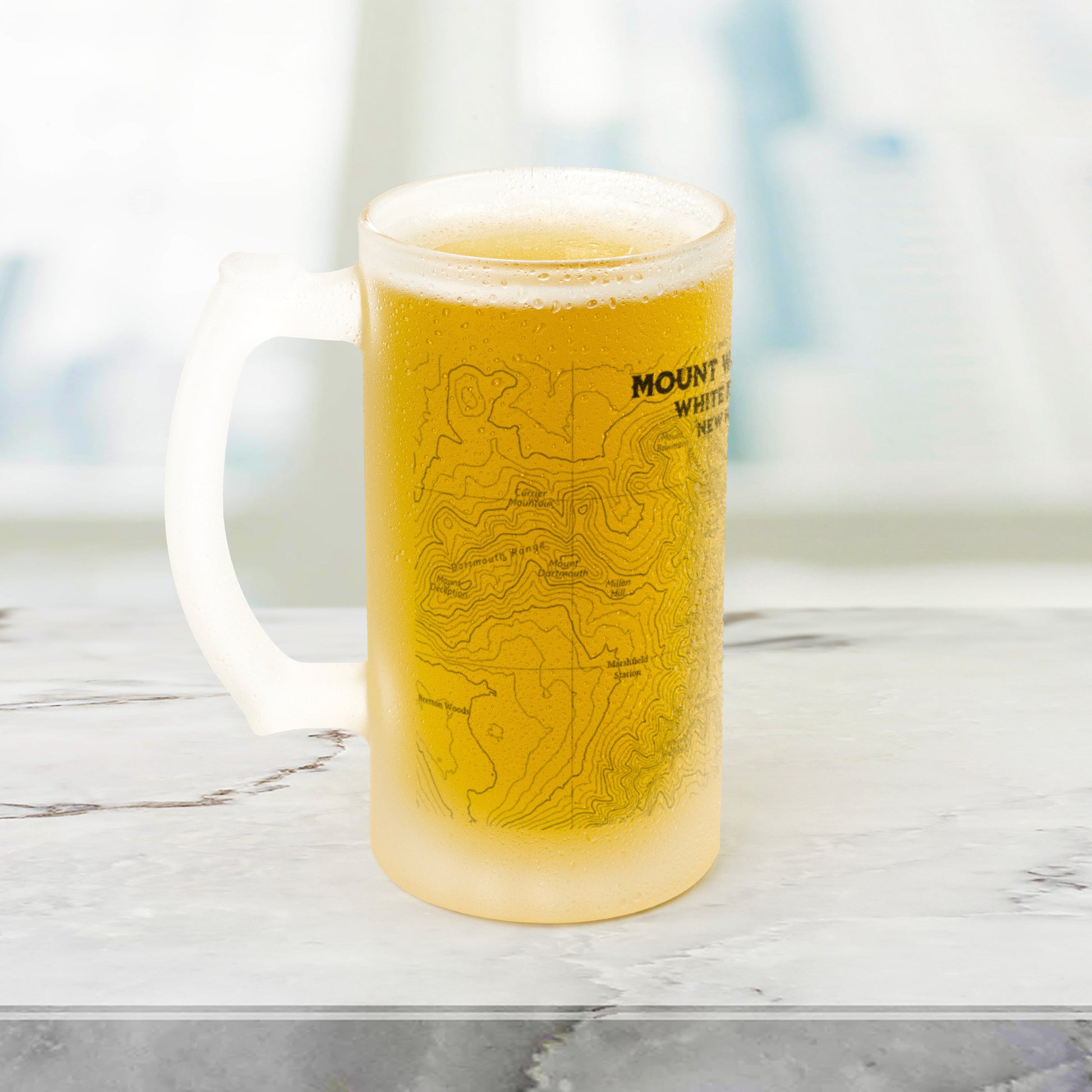 Mount Washington White Mountains Topographic Frosted Pint Mug teelaunch