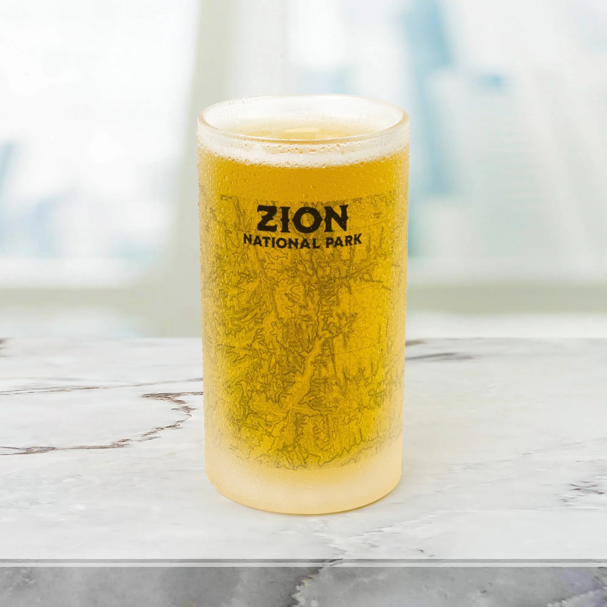 Zion National Park Topographic Frosted Mug Pint Glass - Park Service Apparel