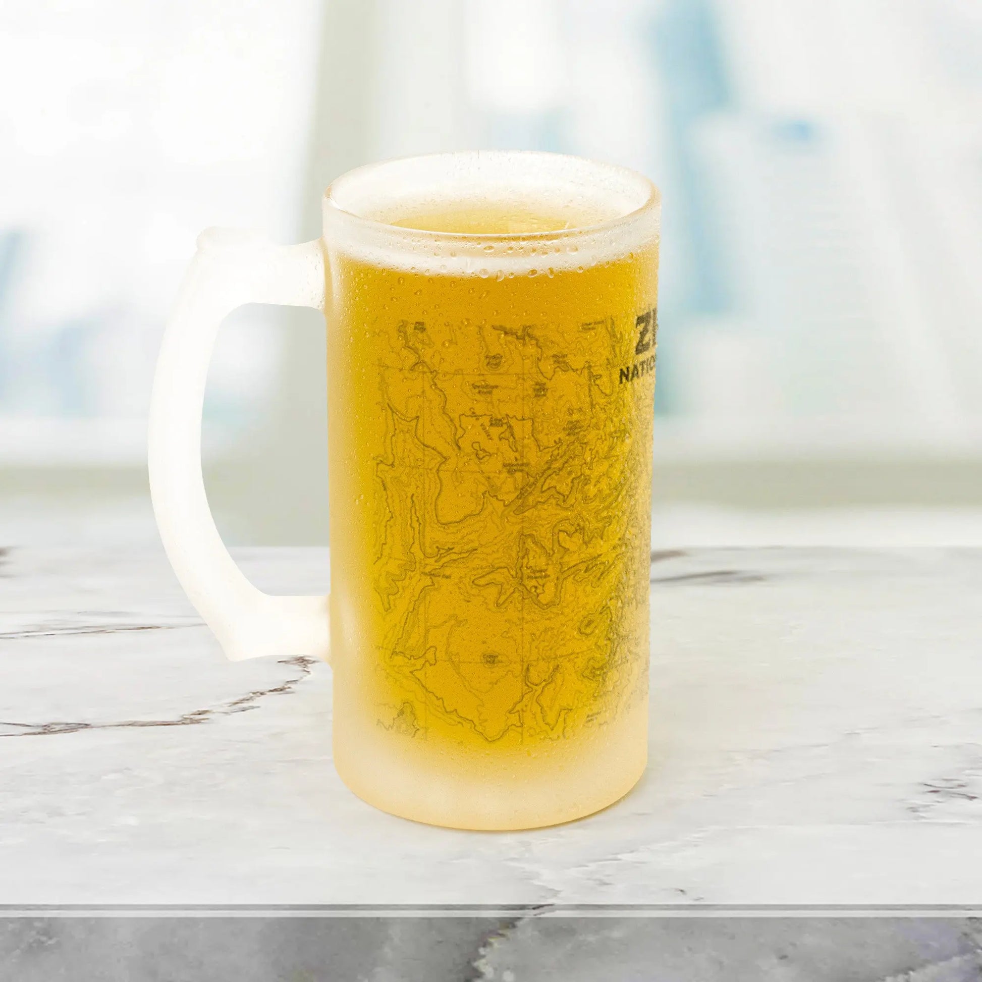 Zion National Park Topographic Frosted Mug Pint Glass - Park Service Apparel