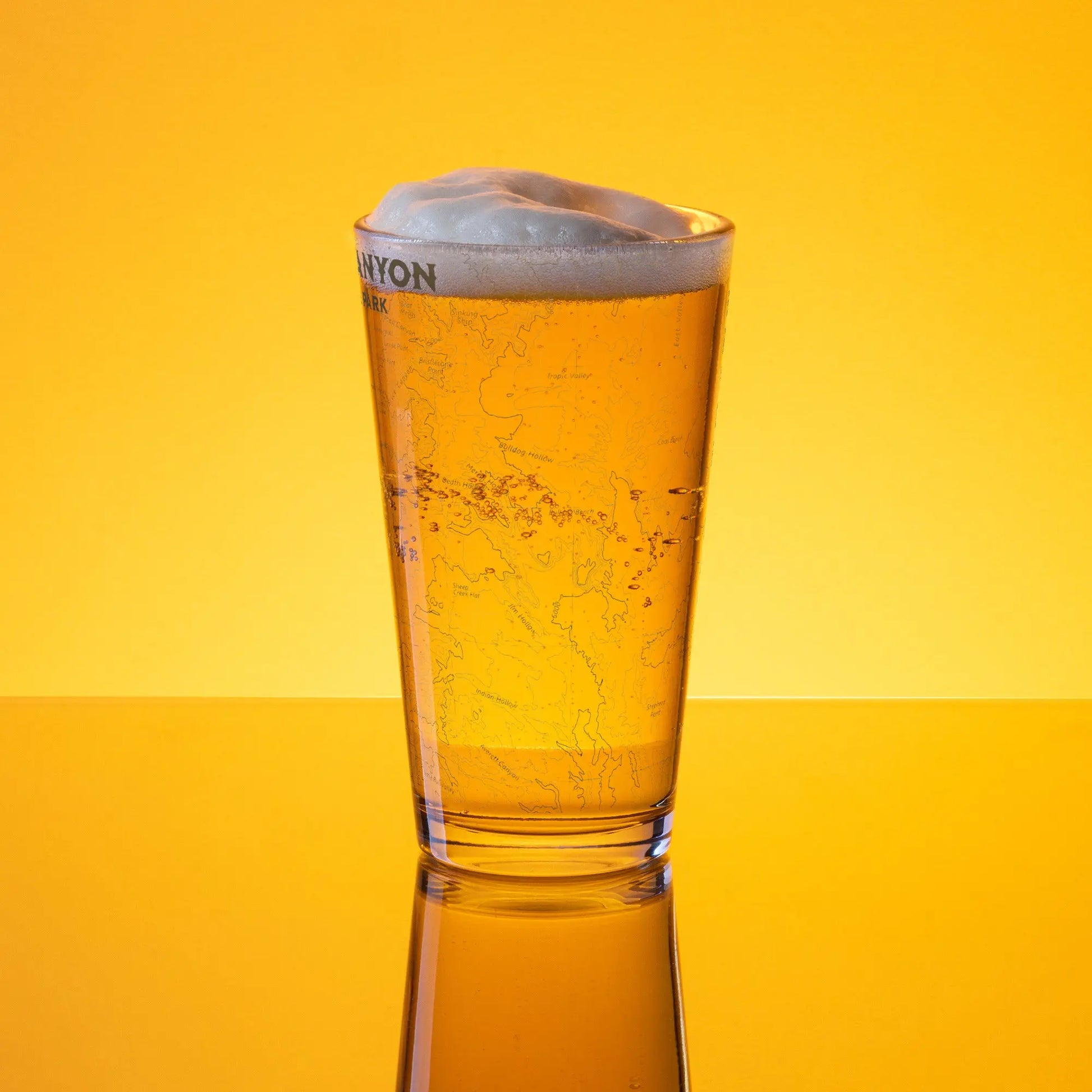 Bryce Canyon National Park Topographic Pint Glass USGS Map Print - Park Service Apparel