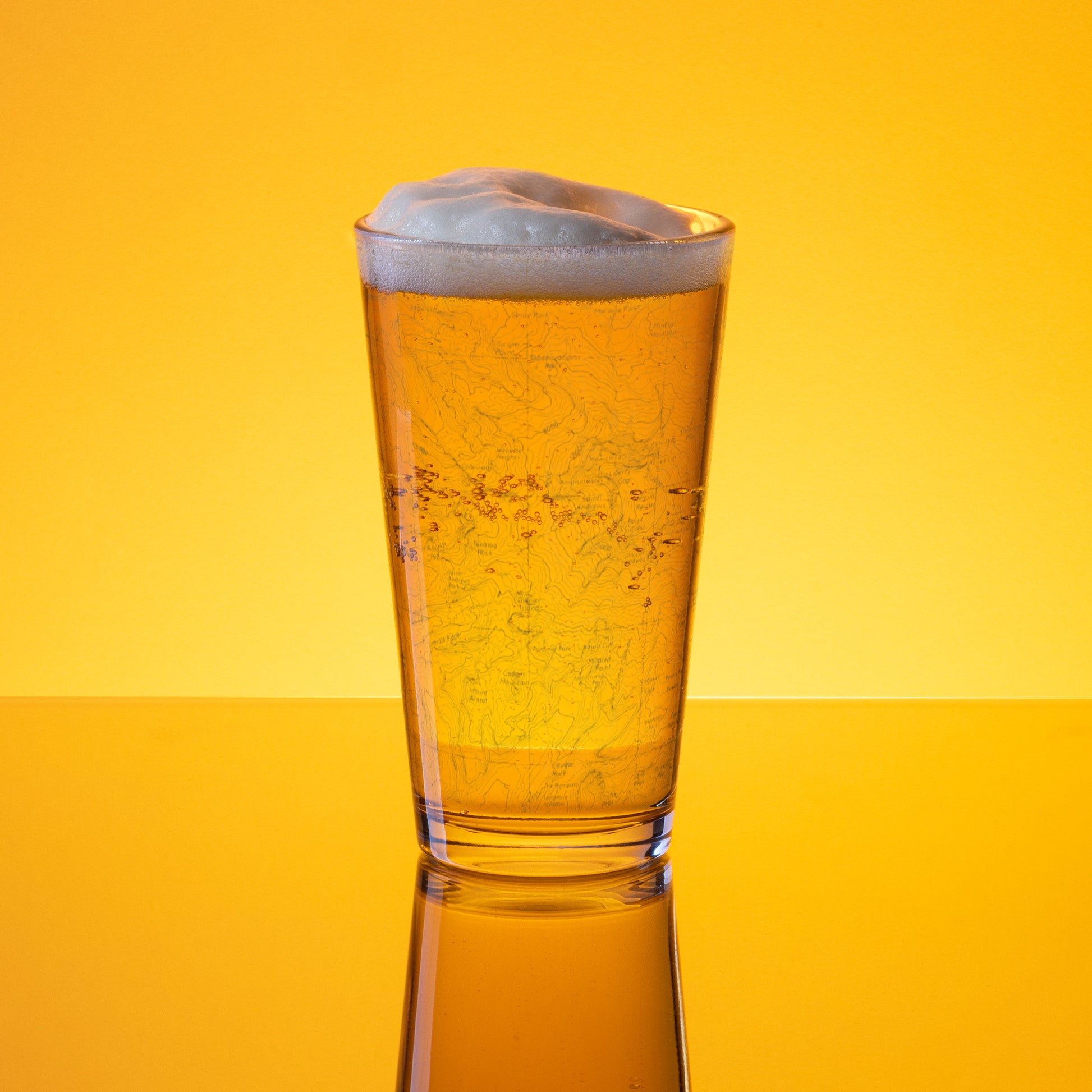Mount Rainier Topographic Pint Glass Park Service Apparel