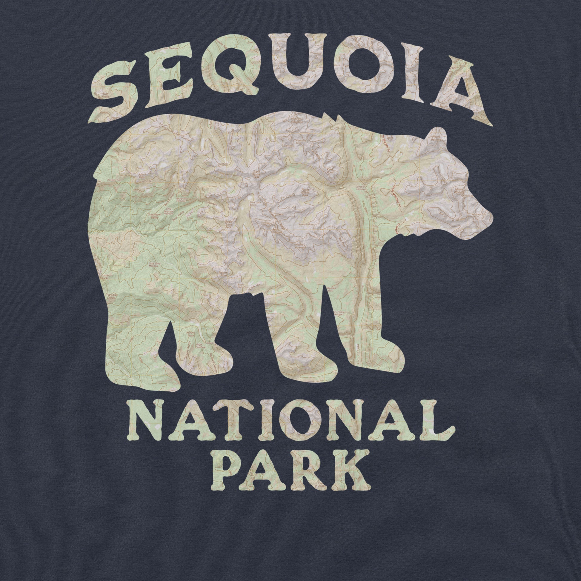 Sequoia Black Bear Topo T-shirt T-Shirt Park Service Apparel
